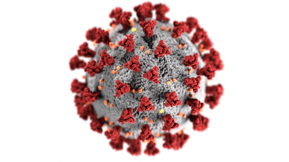 Aktuelles zum Coronavirus