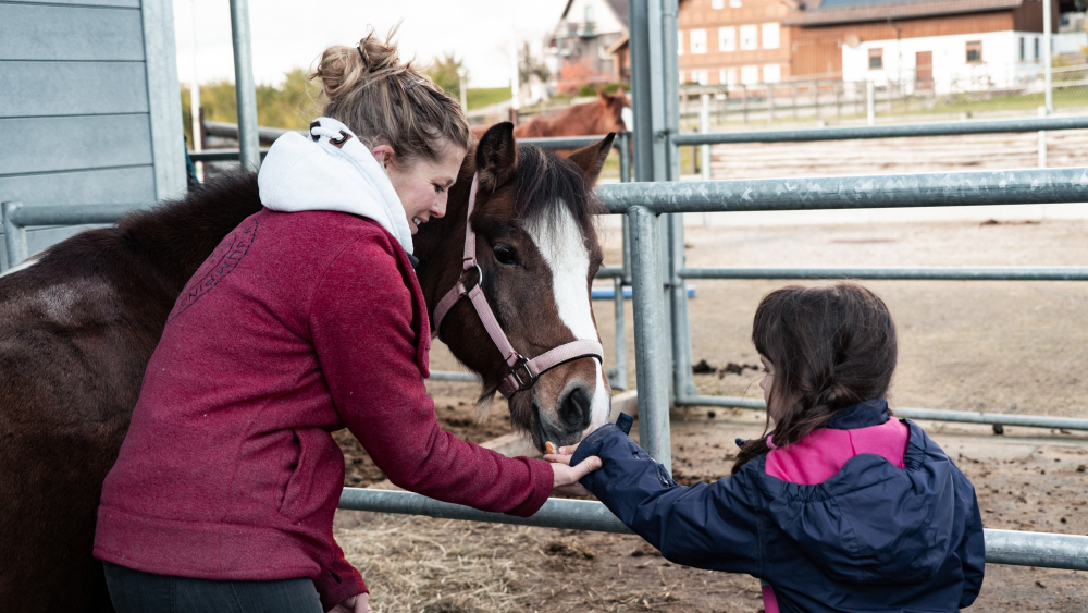 Heilpädagogisches Reiten