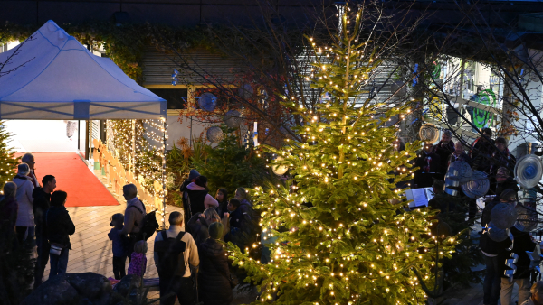 Adventsverkauf im Buecherwäldli-Shop mit Lichterglanz und Chorgesang