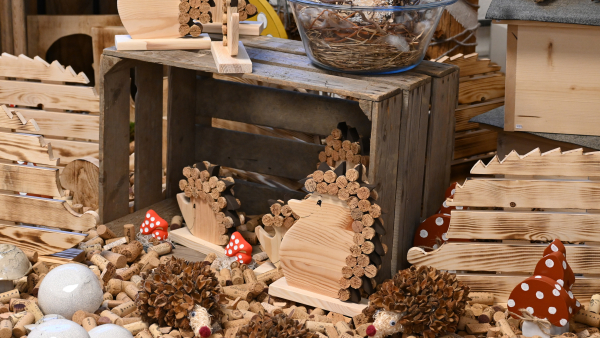 Herbstliche Vielfalt und Gemeinschaft im Buecherwäldli-Shop des HPV Uzwil-Flawil