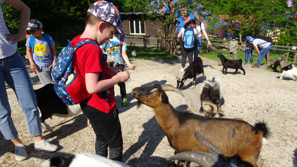 Sonderwoche im Juni 2021 der Klassen Kälin / Bissegger und Karlen