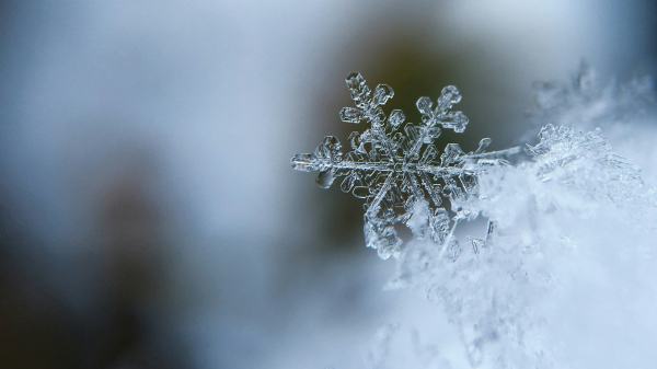Hauszeitung Ausgabe Dezember 2025